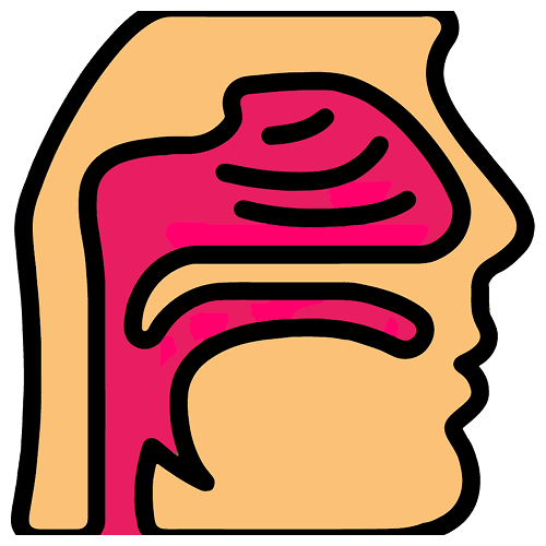 Nasopharyngeal Carcinoma