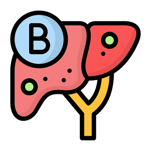 Chronic Hepatitis B