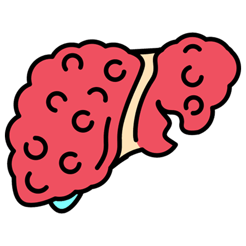 Primary Biliary Cirrhosis