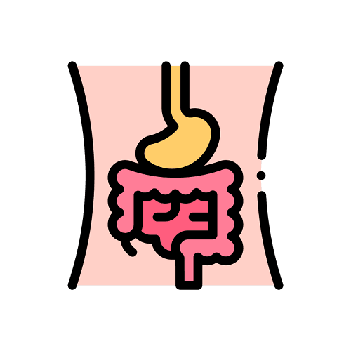 Digestive Health