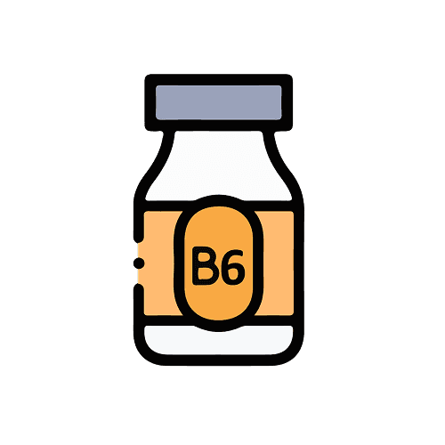 Vitamin B12 Need