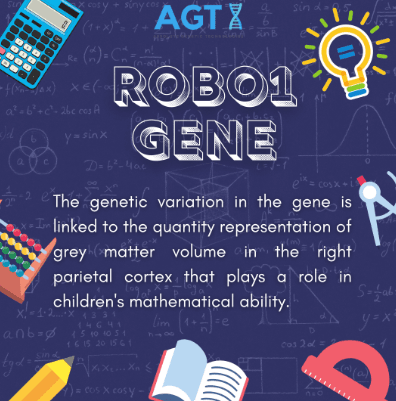 Gene 2